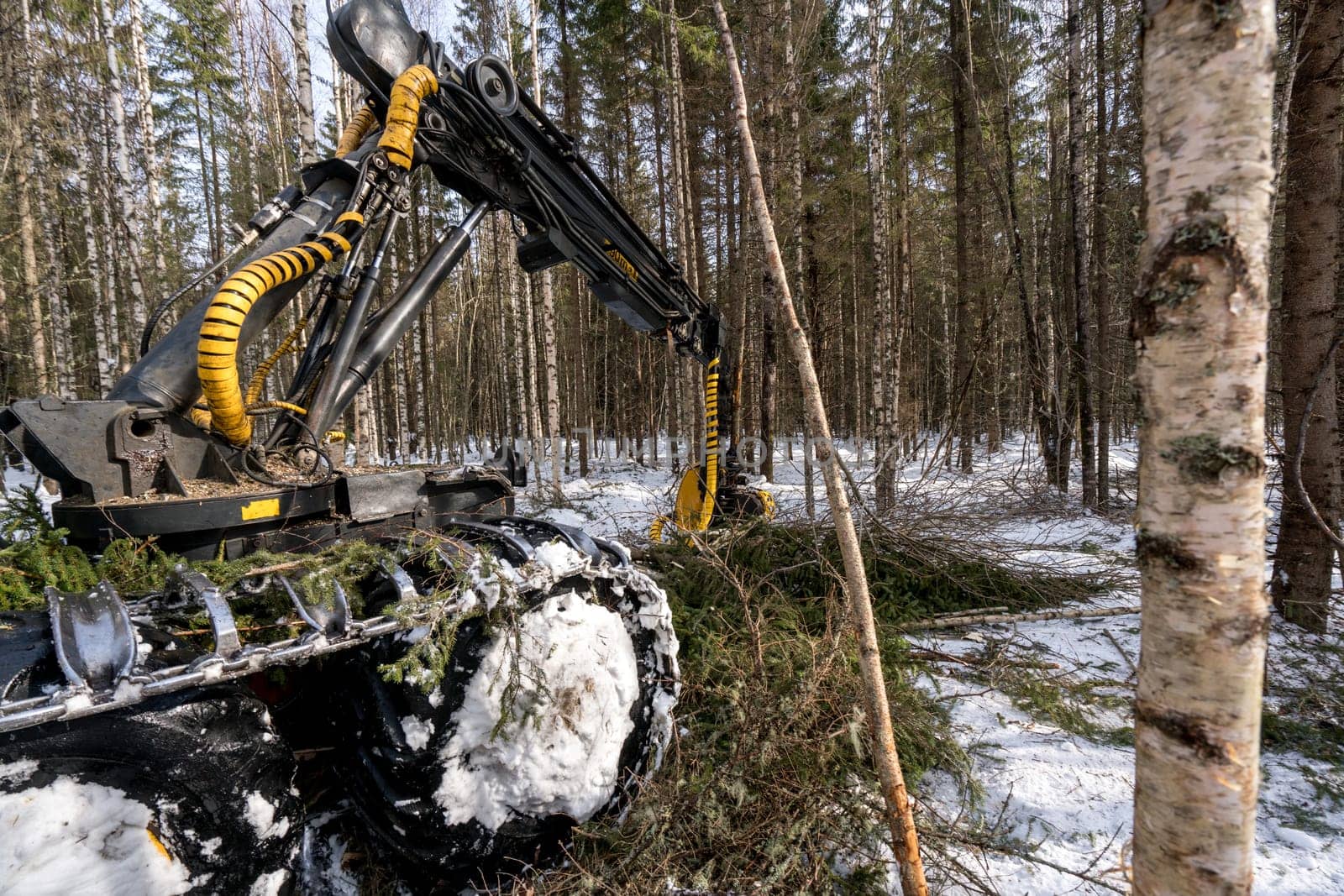 Woodworking. Logger busy working in winter forest by rivertime