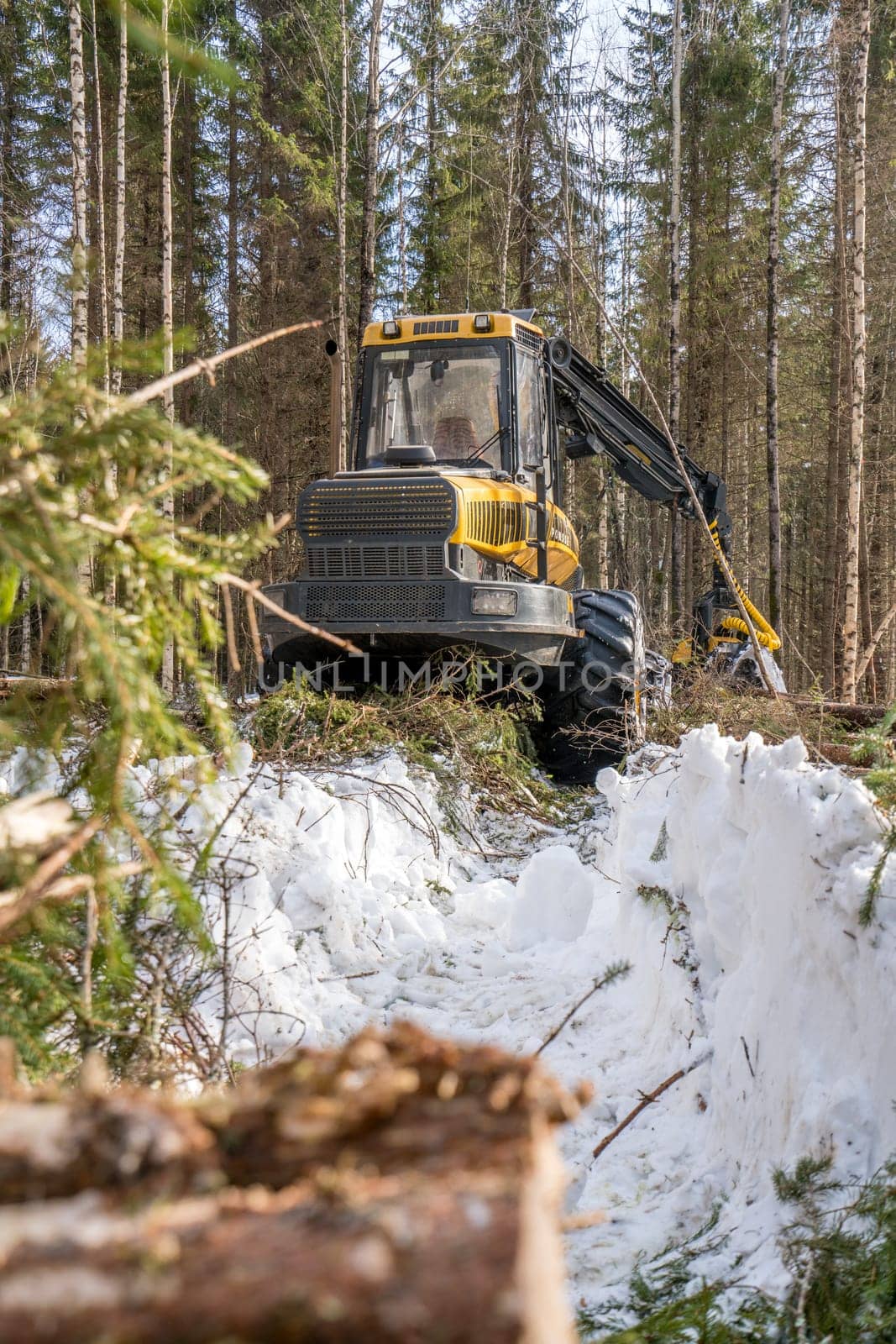 Vertical photo of modern logger in winter forest