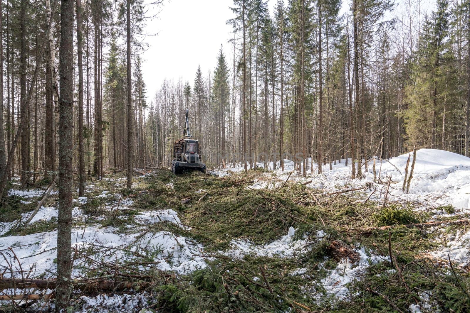 Image of logger rides through forest after felling by rivertime