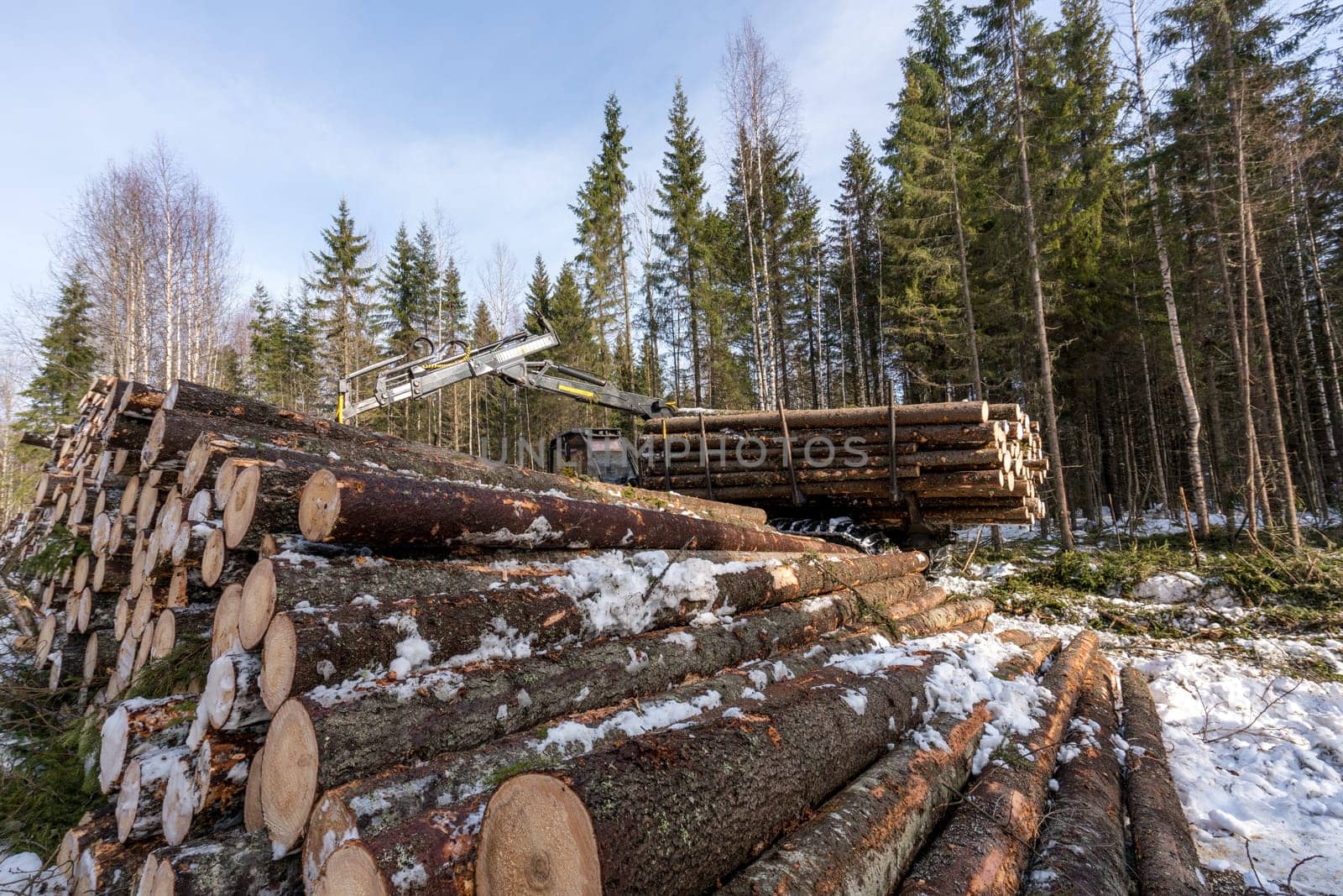 Timber harvesting. Logger working in winter forest by rivertime