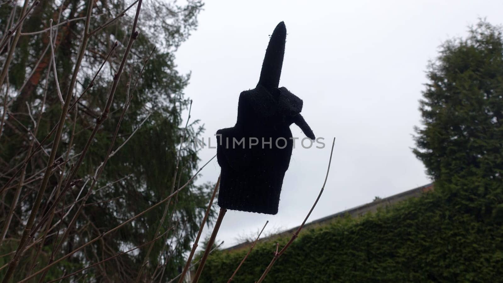 An black glove, placed on a branch, showing the middle finger. by Jamaladeen