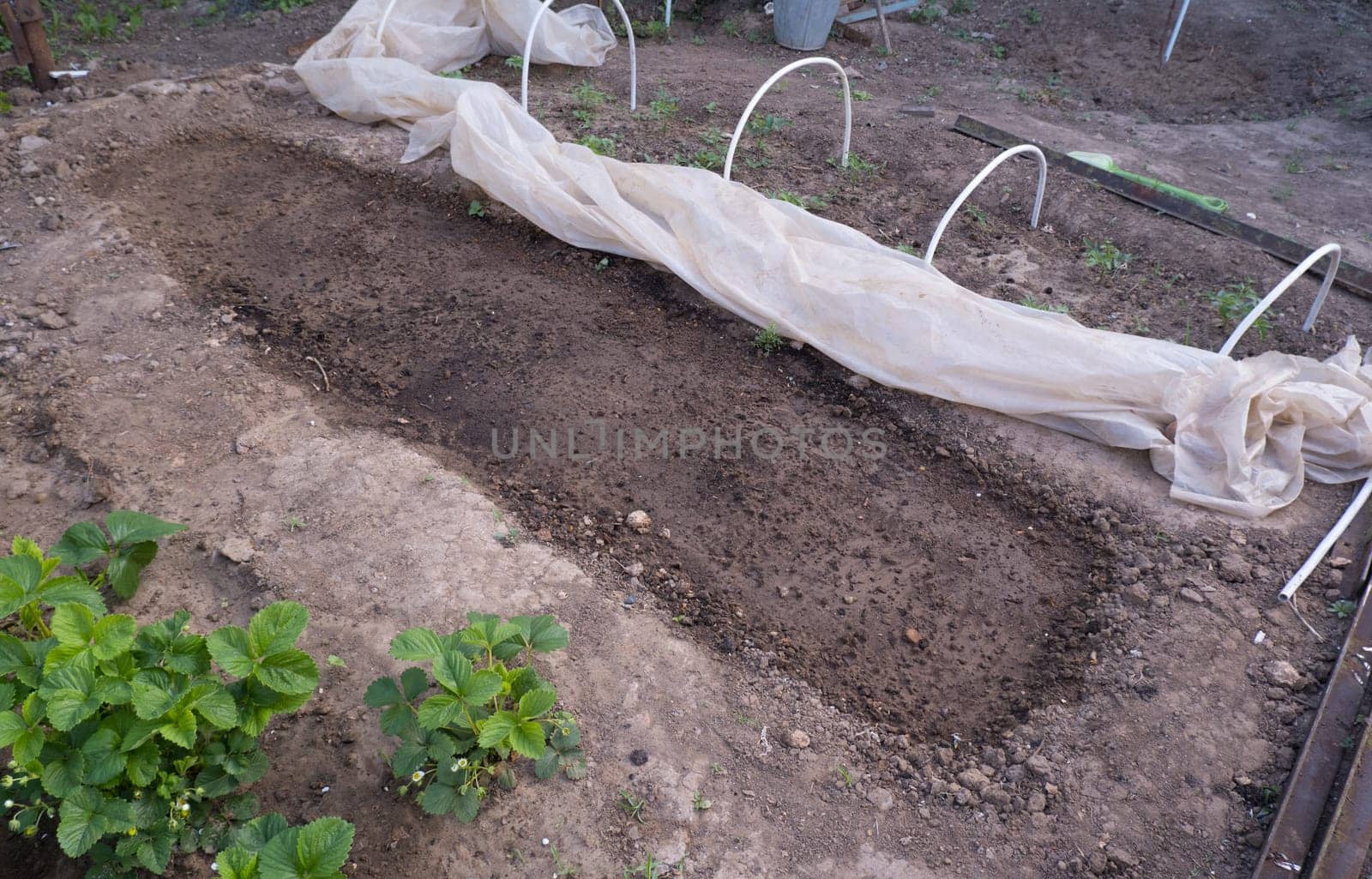 Soil preparation dug bed no weeds.