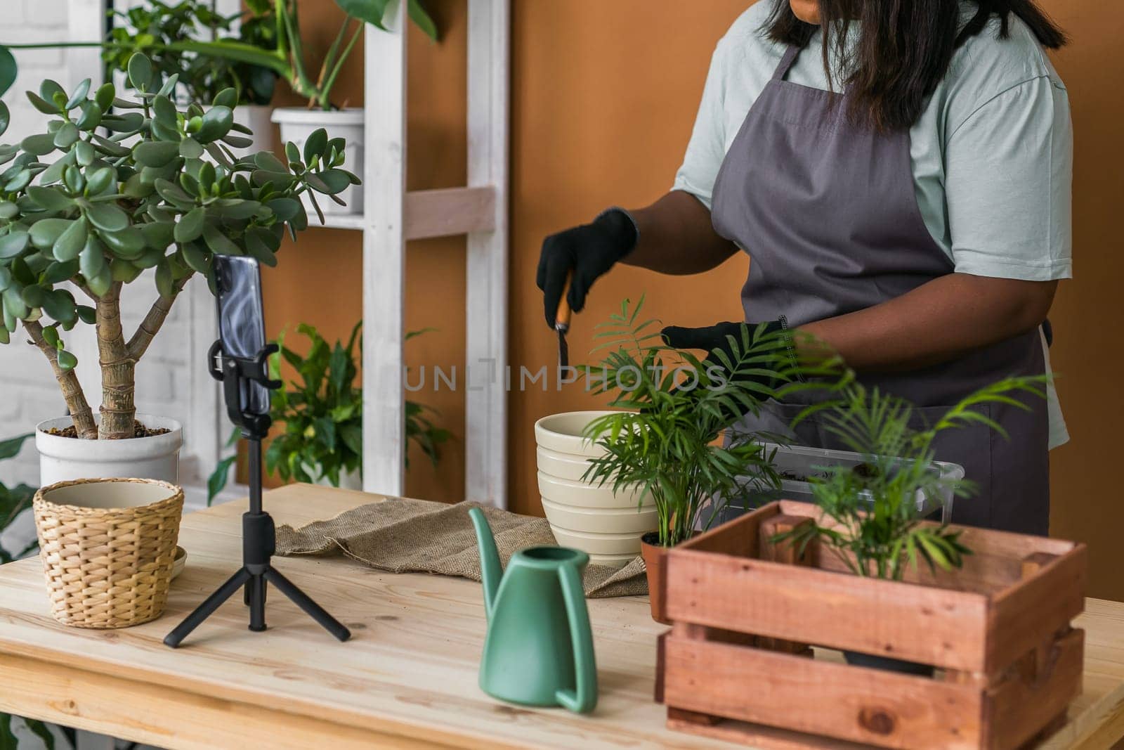 Smiling young woman and pot with plant happy work in indoor garden or cozy home office with different houseplants. Happy millennial female gardener florist take care of domestic flower