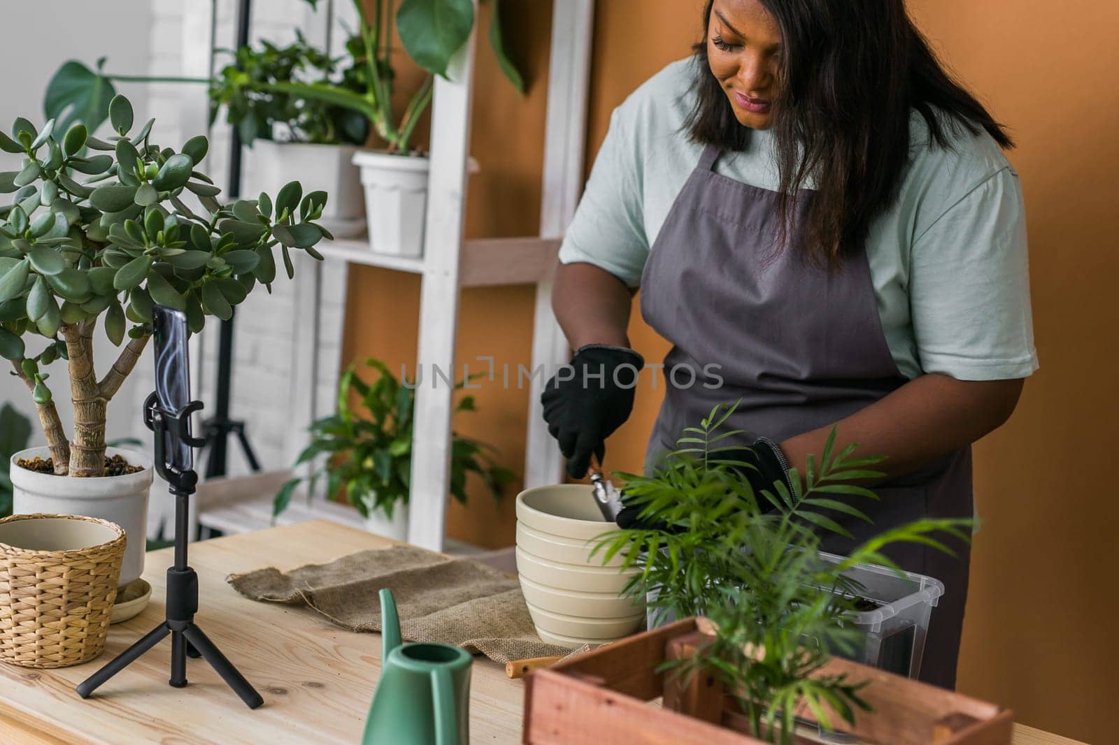 African american girl blogger influencer work on home video camera selfie shoot filming take care home plants and transplanting plant in flowerpot. Home gardening and florist concept. by Satura86