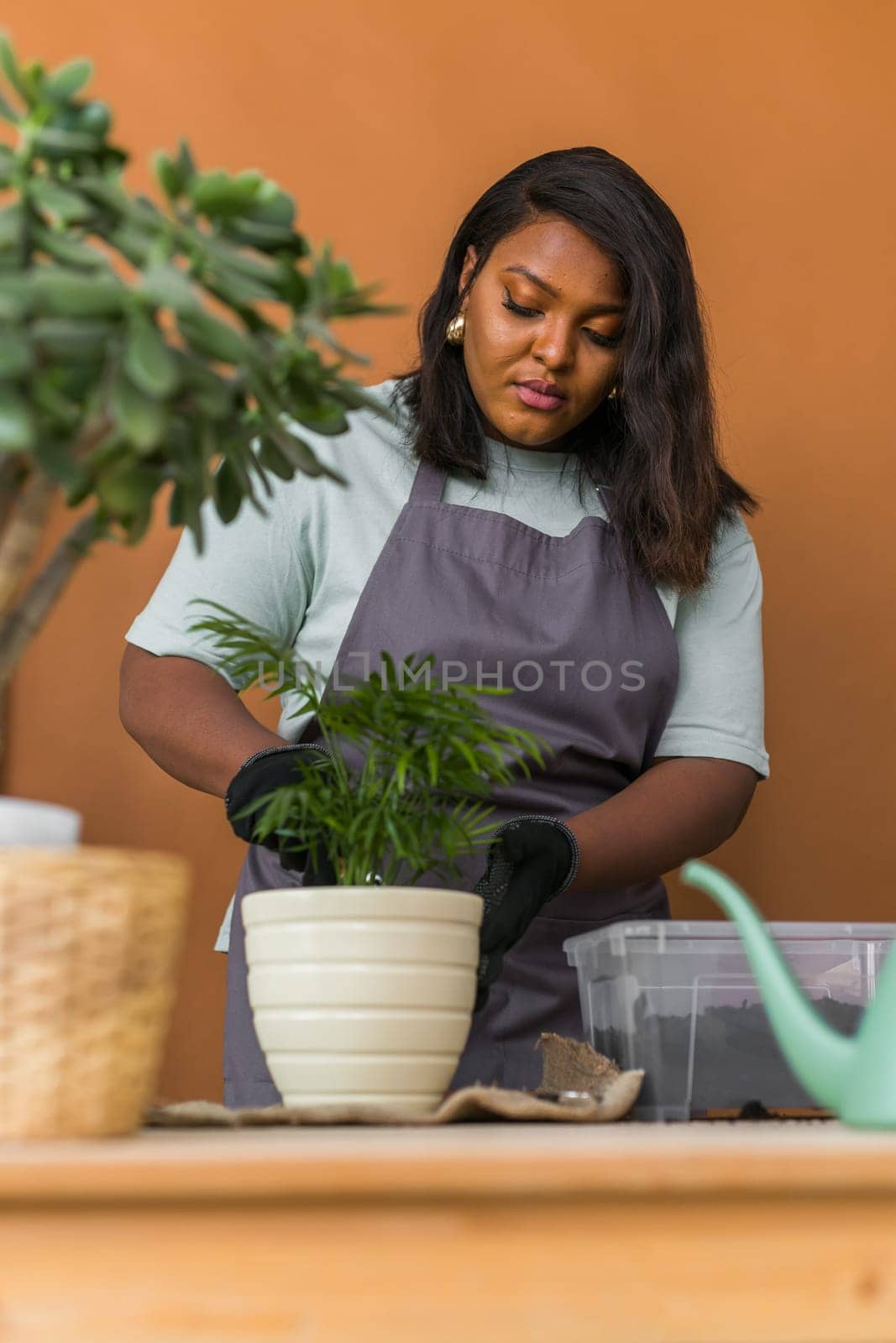 Spring hobby happy young woman transplanting in flower pot houseplant with dirt or soil at home. Gardening plant and green tropical
