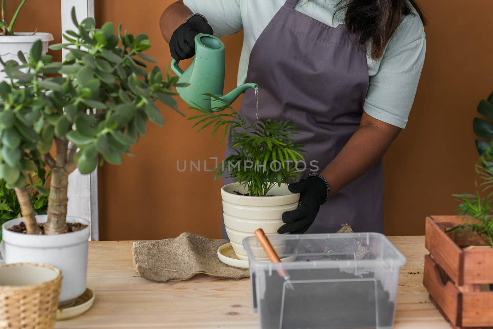 Spring hobby happy young woman transplanting in flower pot houseplant with dirt or soil at home. Gardening plant and green tropical