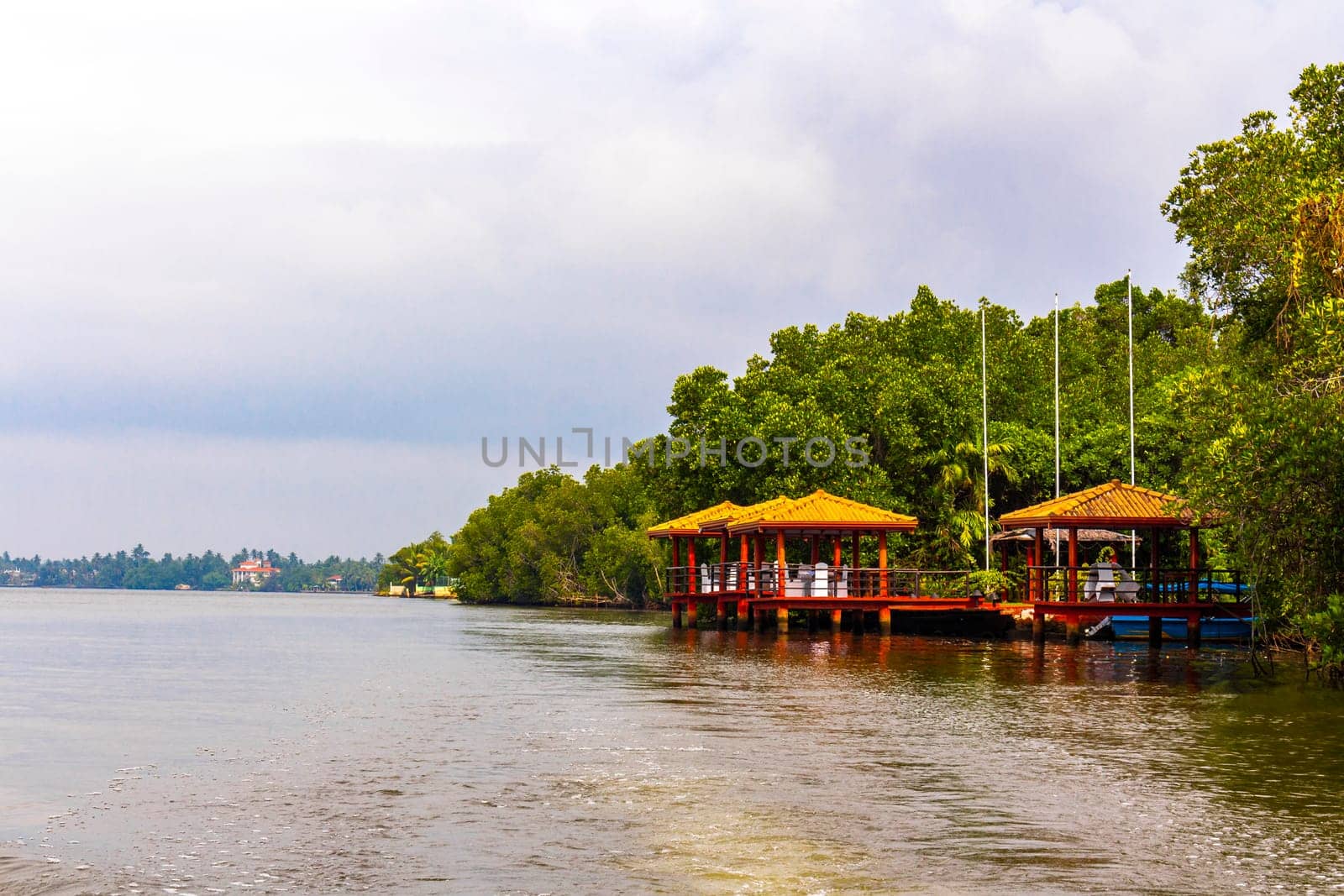 Boat safari through mangrove jungle Bentota Ganga River Bentota Beach Sri Lanka. by Arkadij