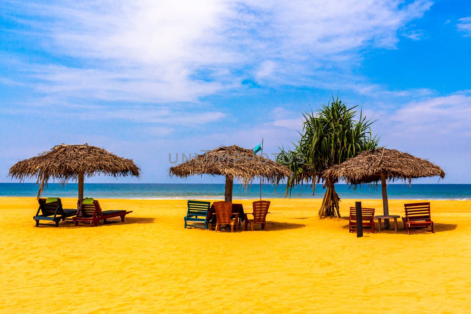 Beautiful beach with tropical nature sand water waves people fun parasols and sun loungers in Bentota Beach on Sri Lanka island.