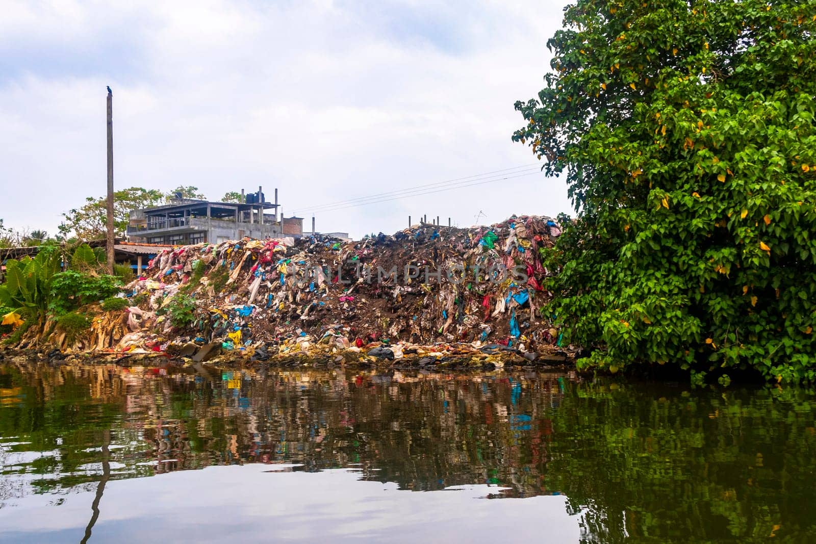 Terrible pile of garbage mangrove jungle Bentota Ganga Bentota Beach Sri Lanka. by Arkadij