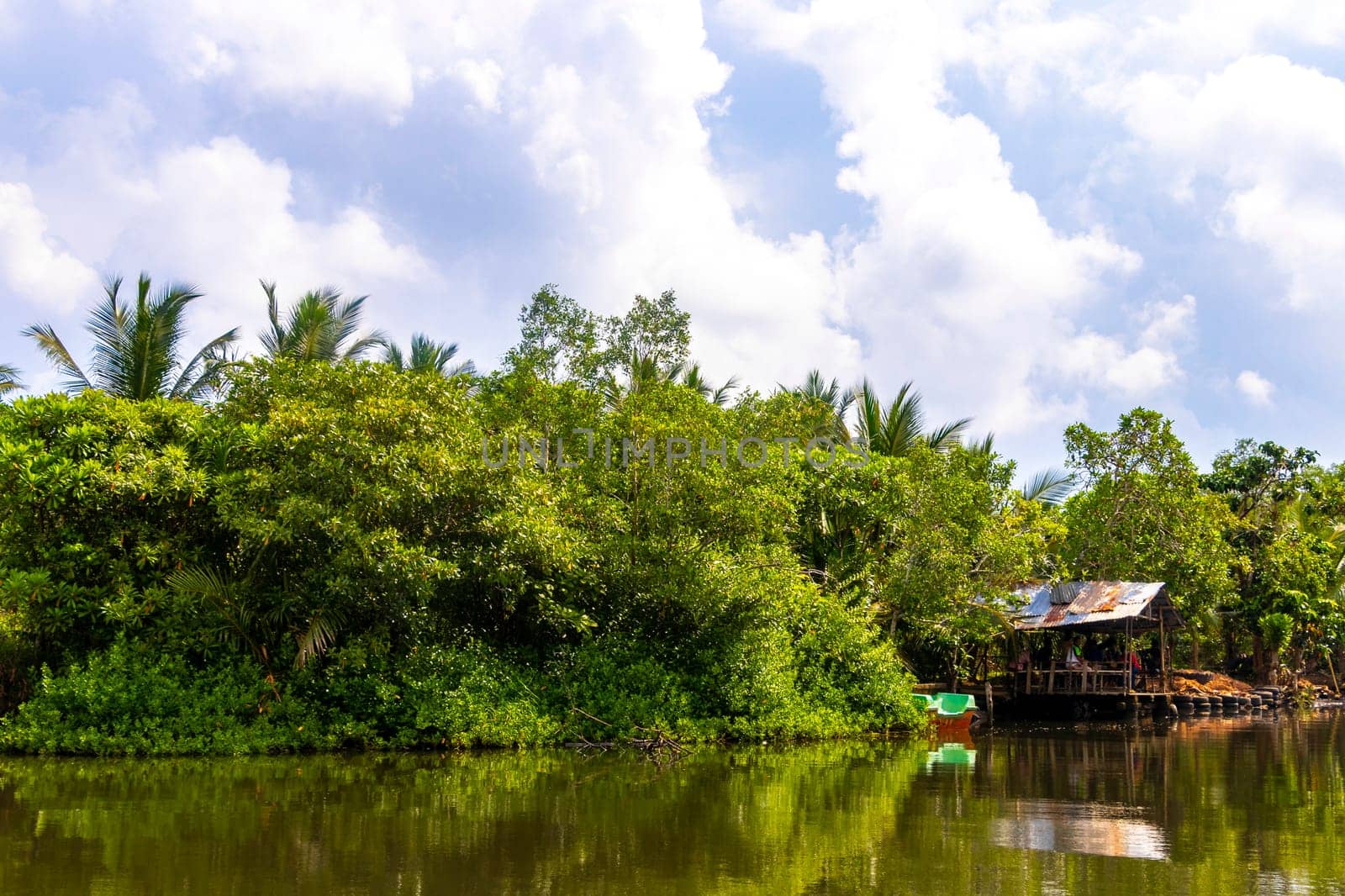 Boat safari through mangrove jungle Bentota Ganga River Bentota Beach Sri Lanka. by Arkadij