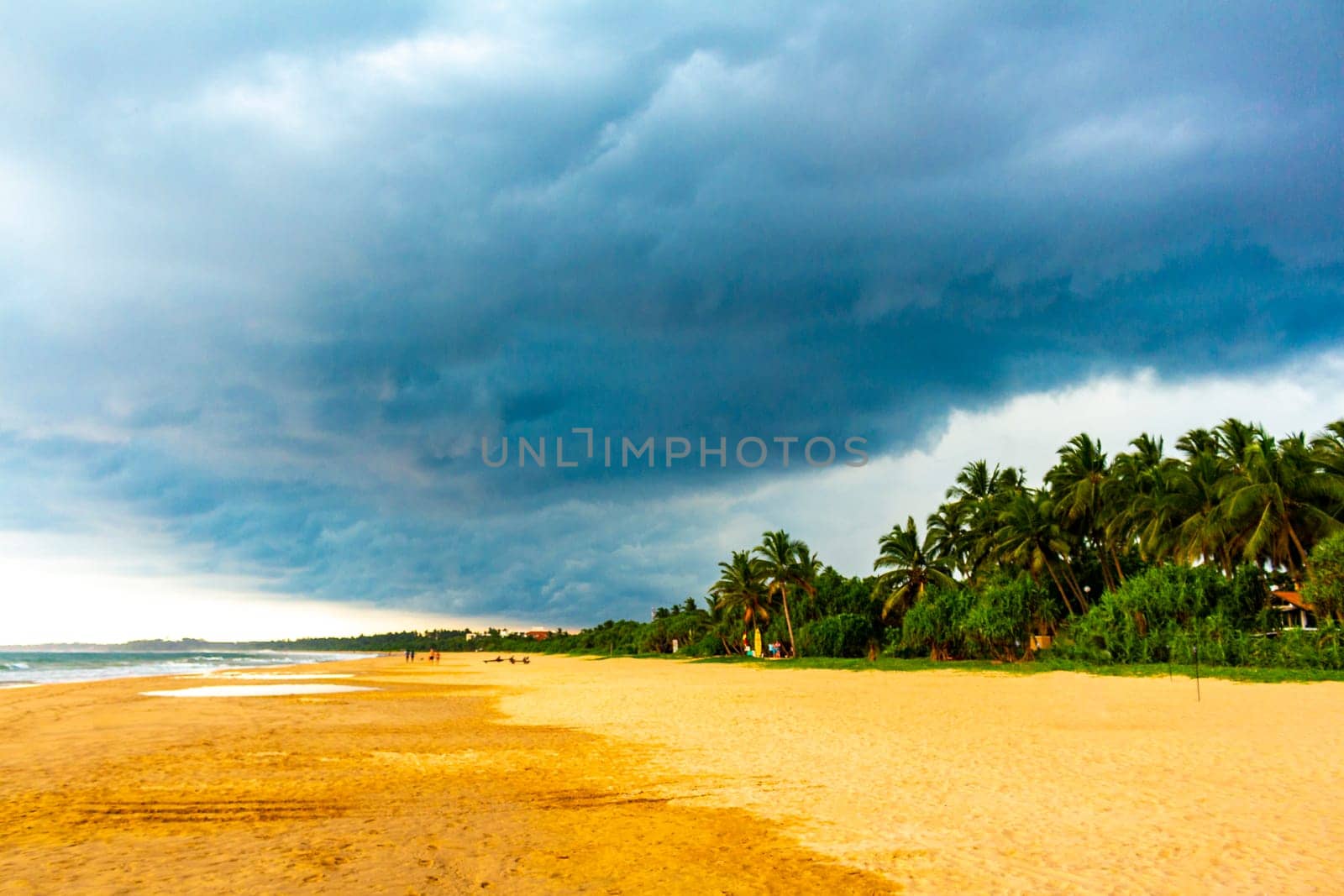 Beautiful sunny landscape panorama with tropical jungle nature and clear water in Bentota Beach Galle District Southern Province Sri Lanka island.