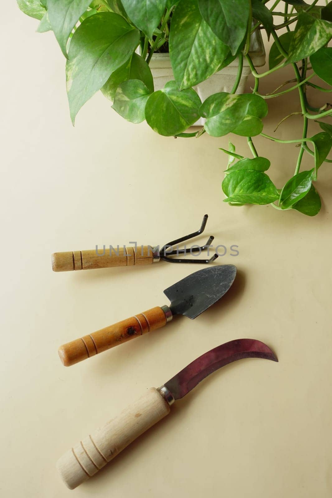 gardening tools and plant on a table with copy space .