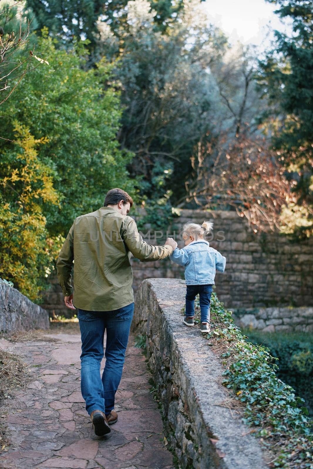 Dad leads a little girl by the hand along a stone fence walking along a paved path in the park. Back view by Nadtochiy