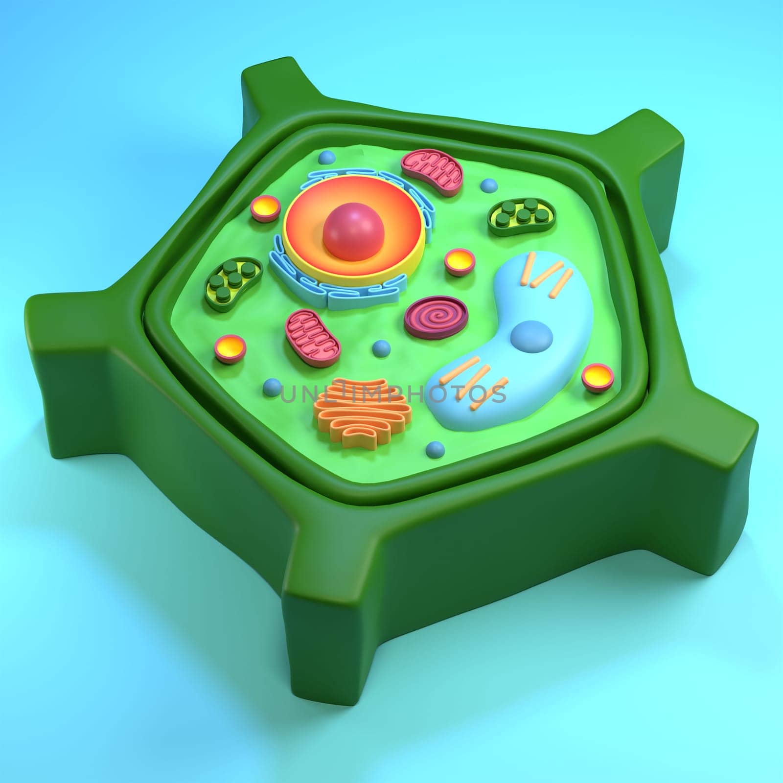 High Resolution Stylized 3D Eukaryotic Plant Cell by AnnaMarin