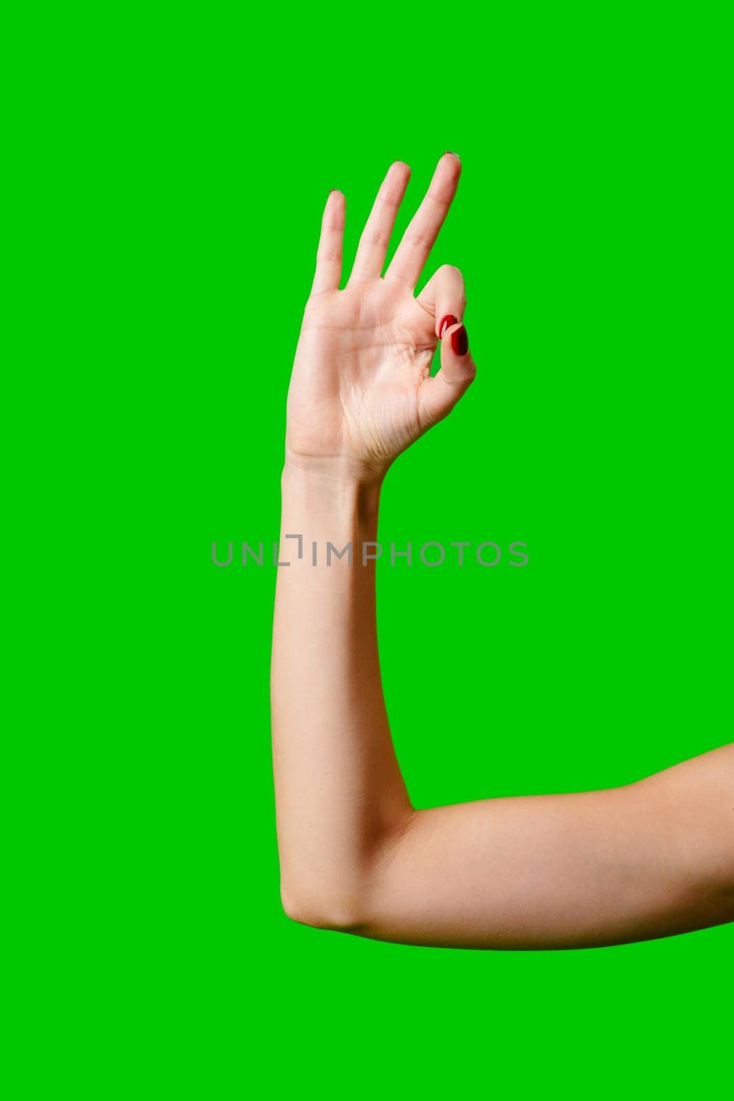 Womans Arm Hand Sign Raised in the Air on green background