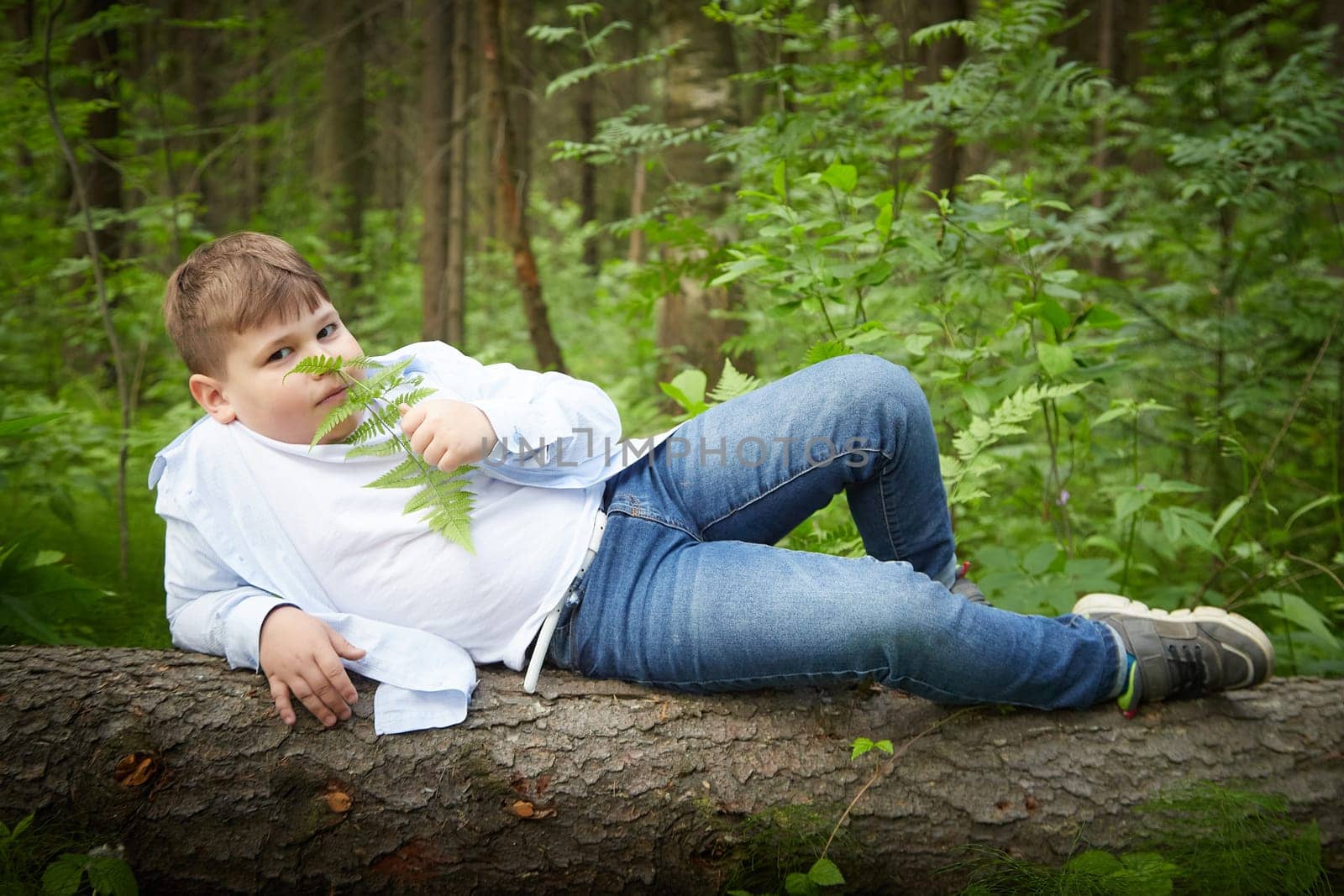 The boy is lying on a log. The child walks in the summer forest. The kid resting on fallen tree