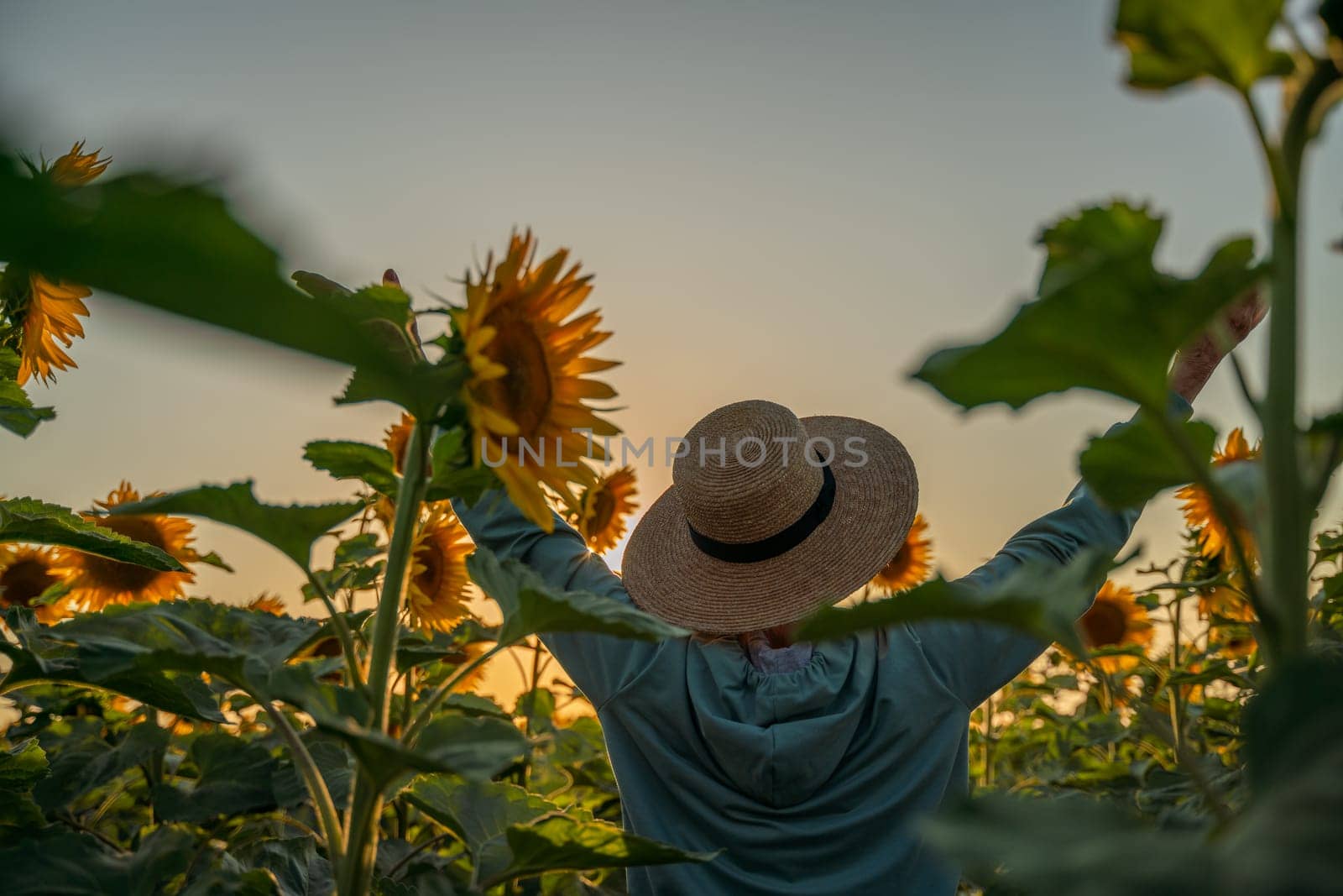 A woman in a straw hat is holding a sunflower. Concept of warmth and happiness, as the woman is surrounded by the bright and cheerful flower. by Matiunina