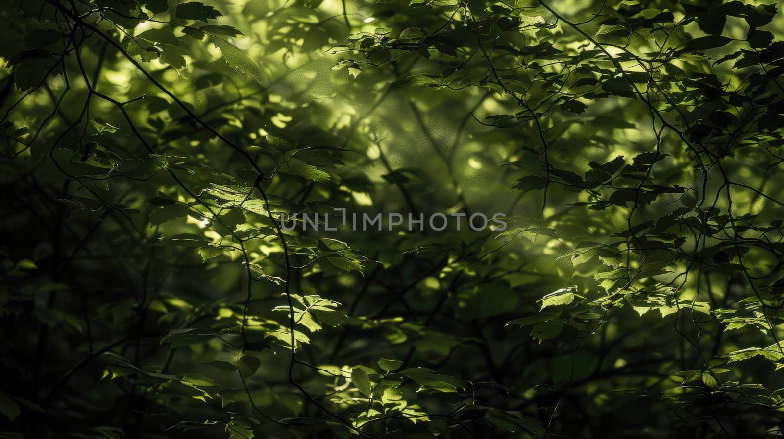 The sunlight filters through the conifer trees in the forest, painting a stunning landscape with evergreen foliage and freezing water shimmering on the grass and twigs AIG50