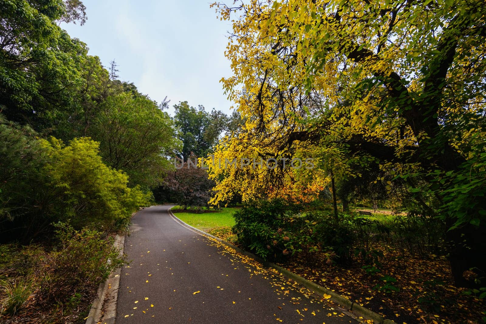 Royal Botanic Gardens Victoria on a cool autumn morning in Melbourne, Victoria, Australia