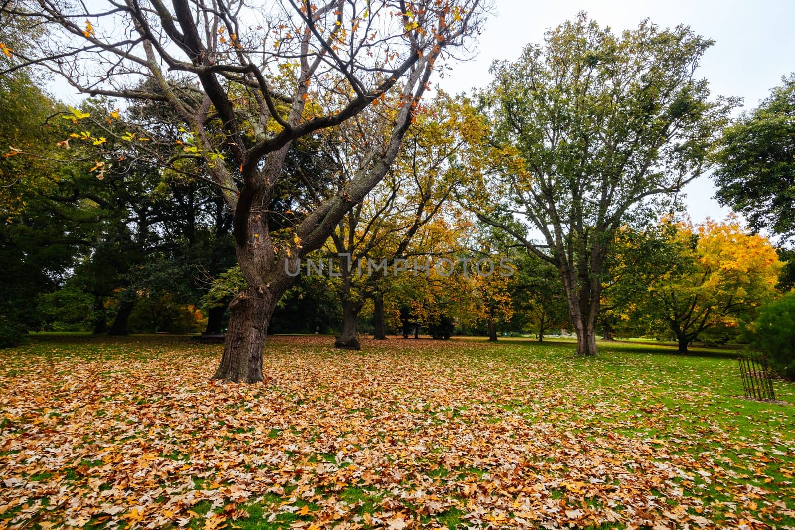 Royal Botanic Gardens Victoria on a cool autumn morning in Melbourne, Victoria, Australia