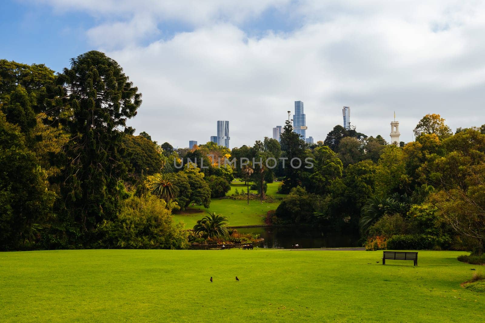 Royal Botanic Gardens in Melbourne Australia by FiledIMAGE