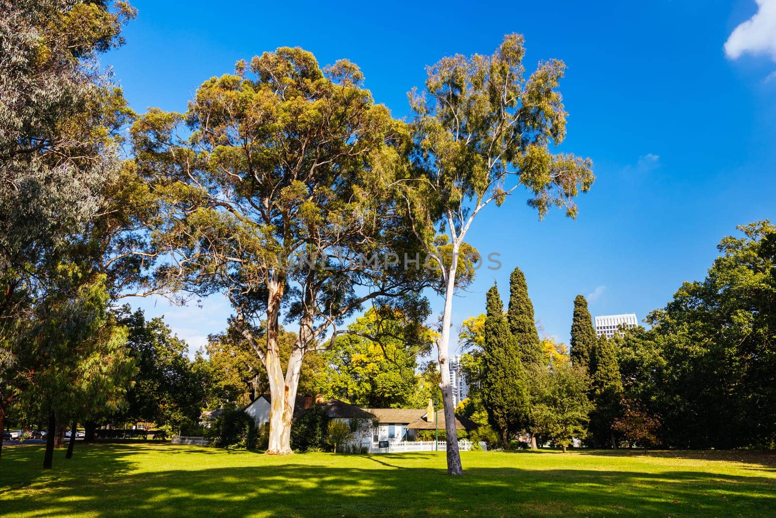 Shrine of Remembrance in Melbourne Australia by FiledIMAGE