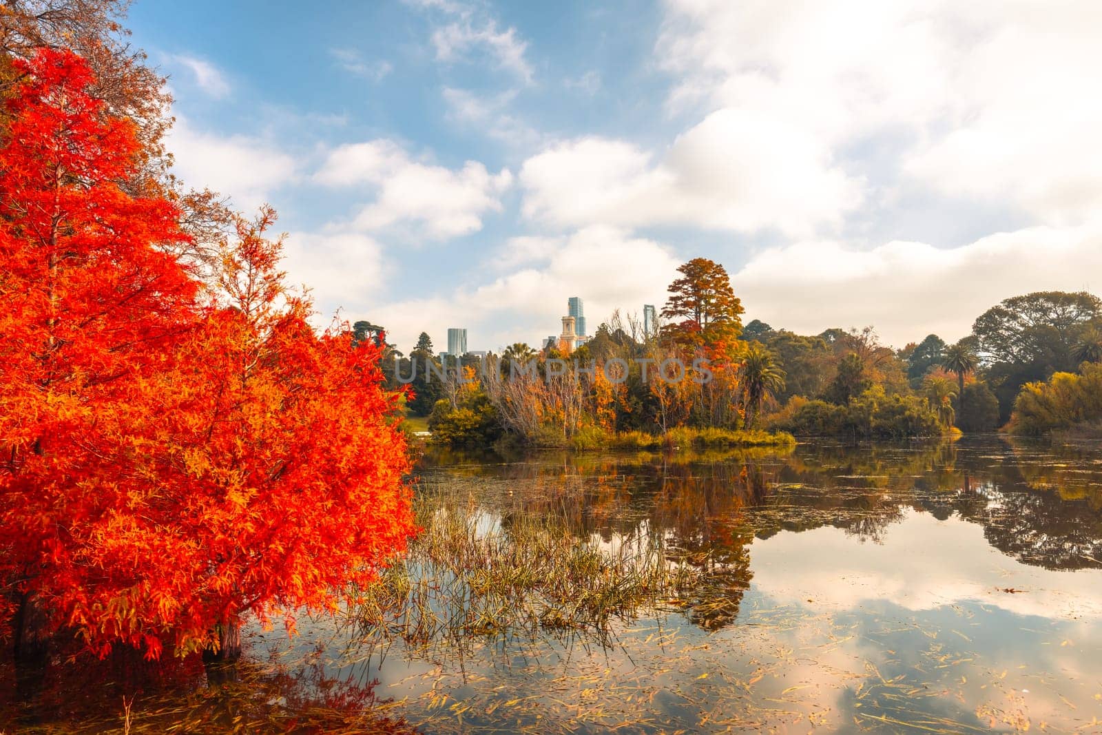 Royal Botanic Gardens in Melbourne Australia by FiledIMAGE