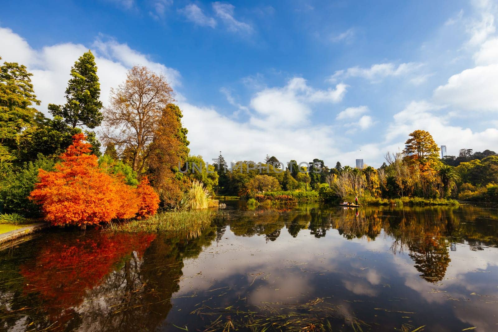 Royal Botanic Gardens in Melbourne Australia by FiledIMAGE