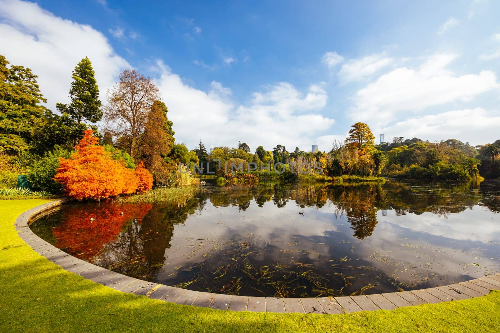 Royal Botanic Gardens Victoria on a cool autumn morning in Melbourne, Victoria, Australia