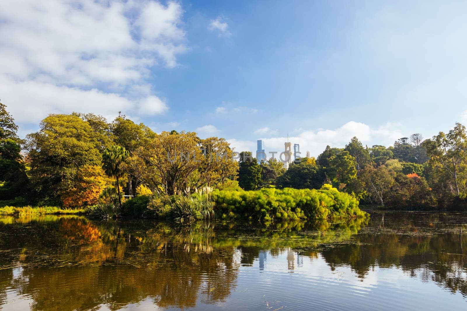 Royal Botanic Gardens Victoria on a cool autumn morning in Melbourne, Victoria, Australia