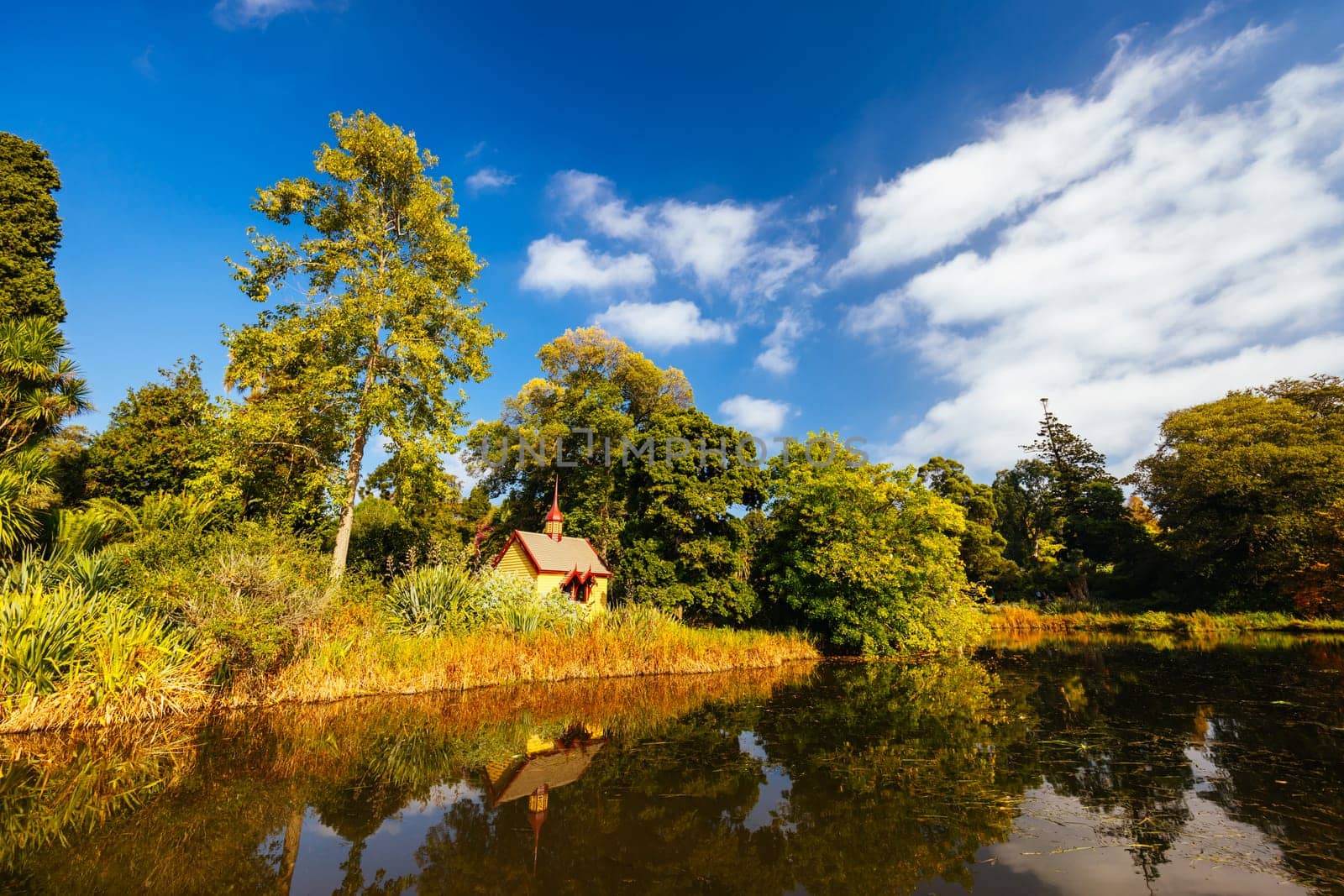 Royal Botanic Gardens in Melbourne Australia by FiledIMAGE