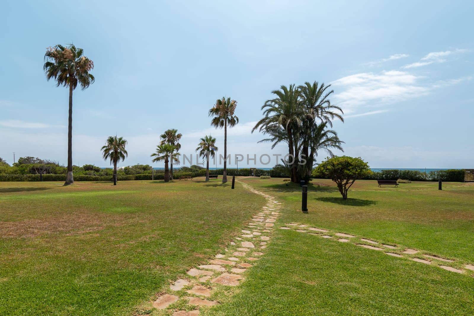 Pathway through a sunny park with palm trees leading towards the sea by apavlin