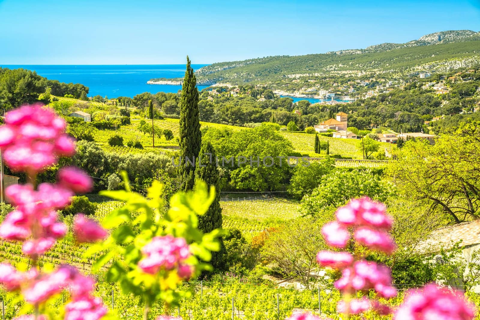Scenic landscape of French riviera near Cassis view, southern France