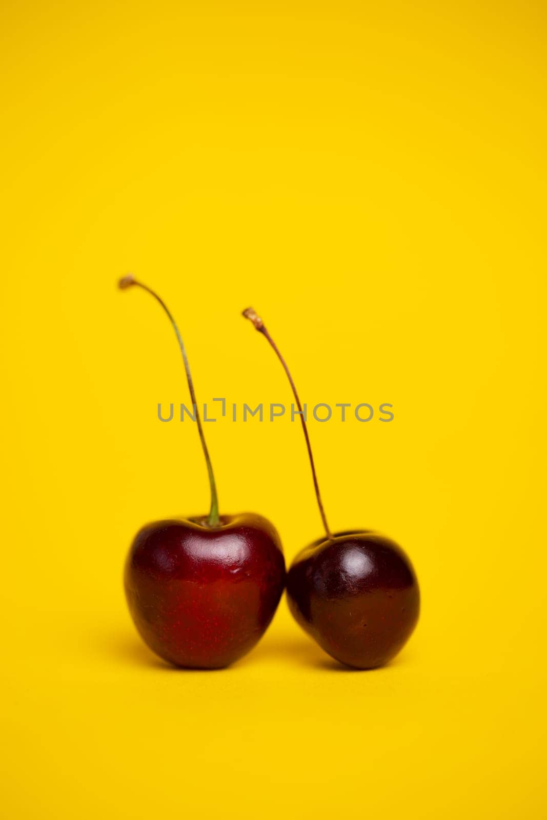 ripe cherries close-up on a yellow background.