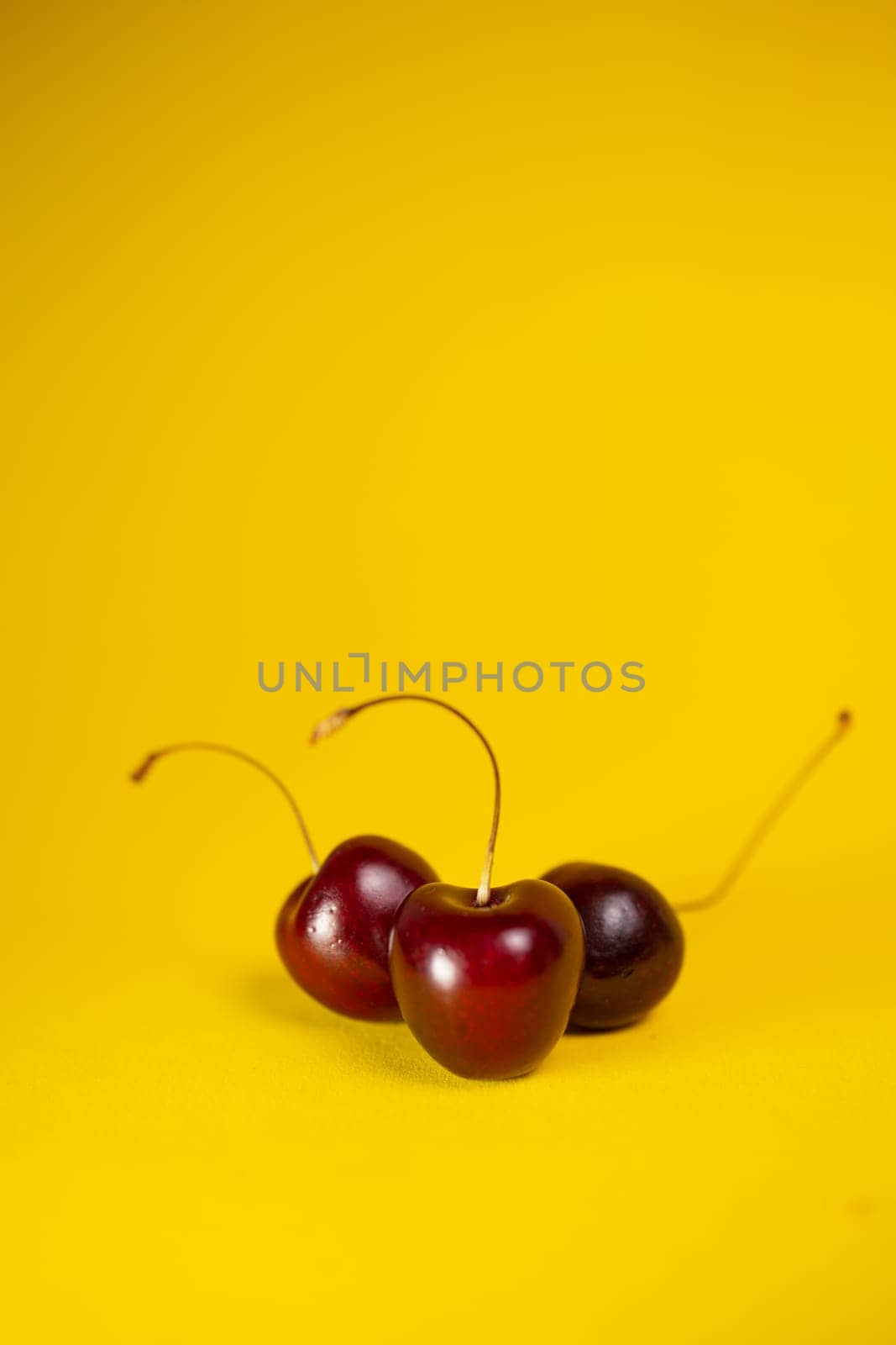 ripe cherries close-up on a yellow background by Pukhovskiy