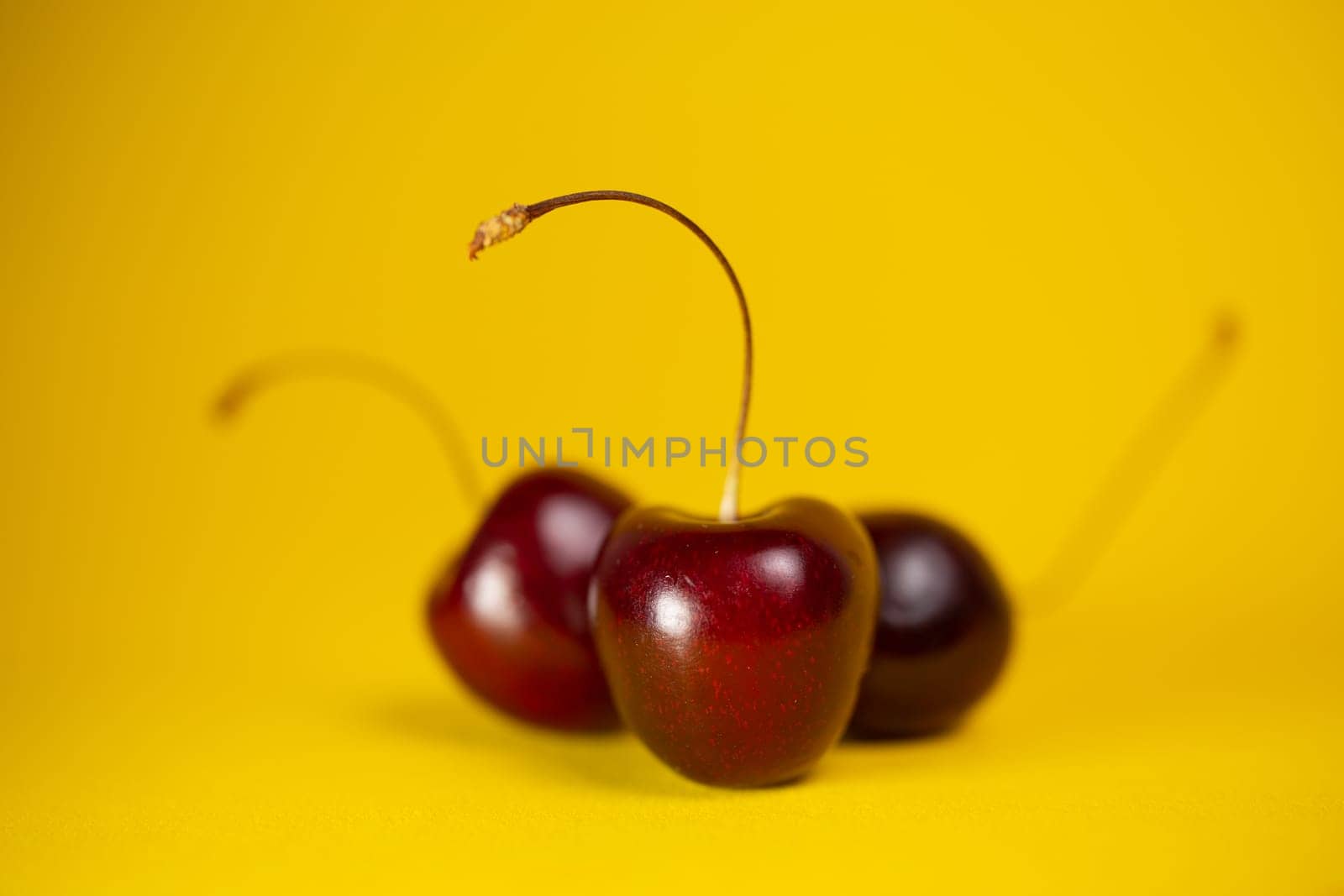 three cherries on a yellow background close-up by Pukhovskiy