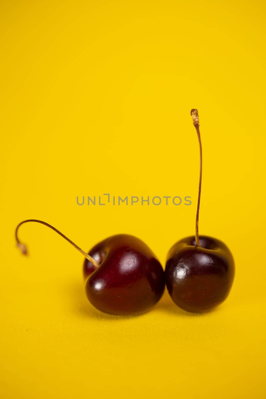 two ripe cherries on a yellow backgroun by Pukhovskiy