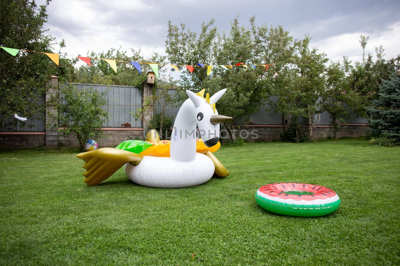 beautiful summer inflatable swimming circles on the green grass.