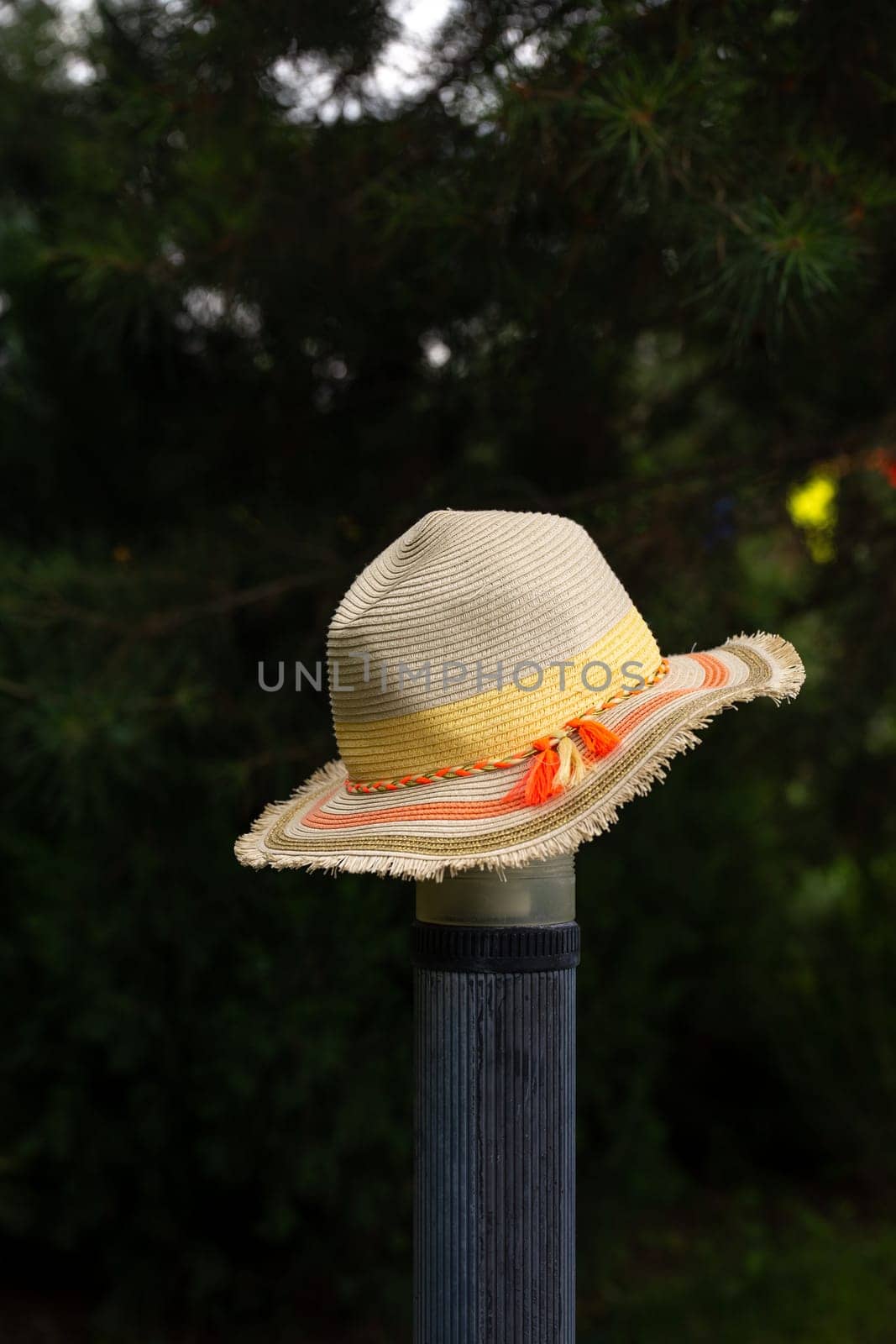 hat on the background of trees in the garden by Pukhovskiy