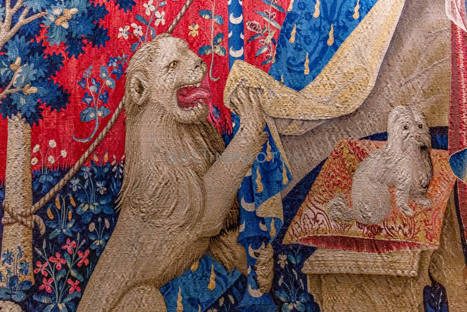The lady and the unicorn tapestry, Cluny chapel, Paris, France by photogolfer