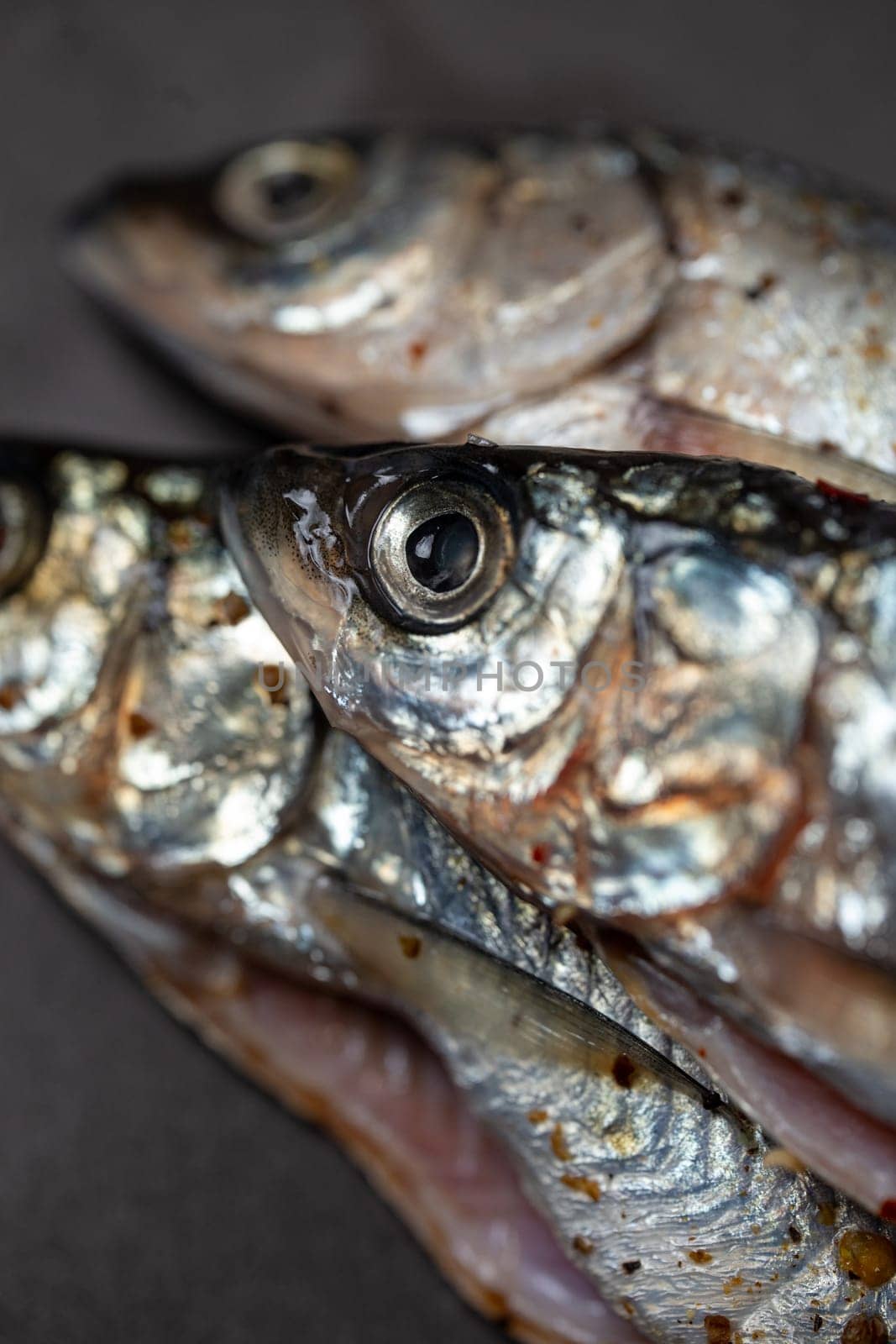 fish head close-up. pickled fish for cooking dishes by Pukhovskiy