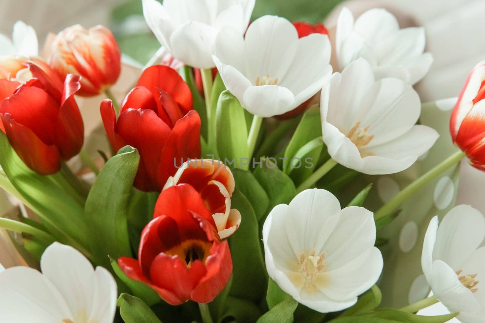 Spring Inspiration: Tulip Bouquet in Honor of International Women's Day.
