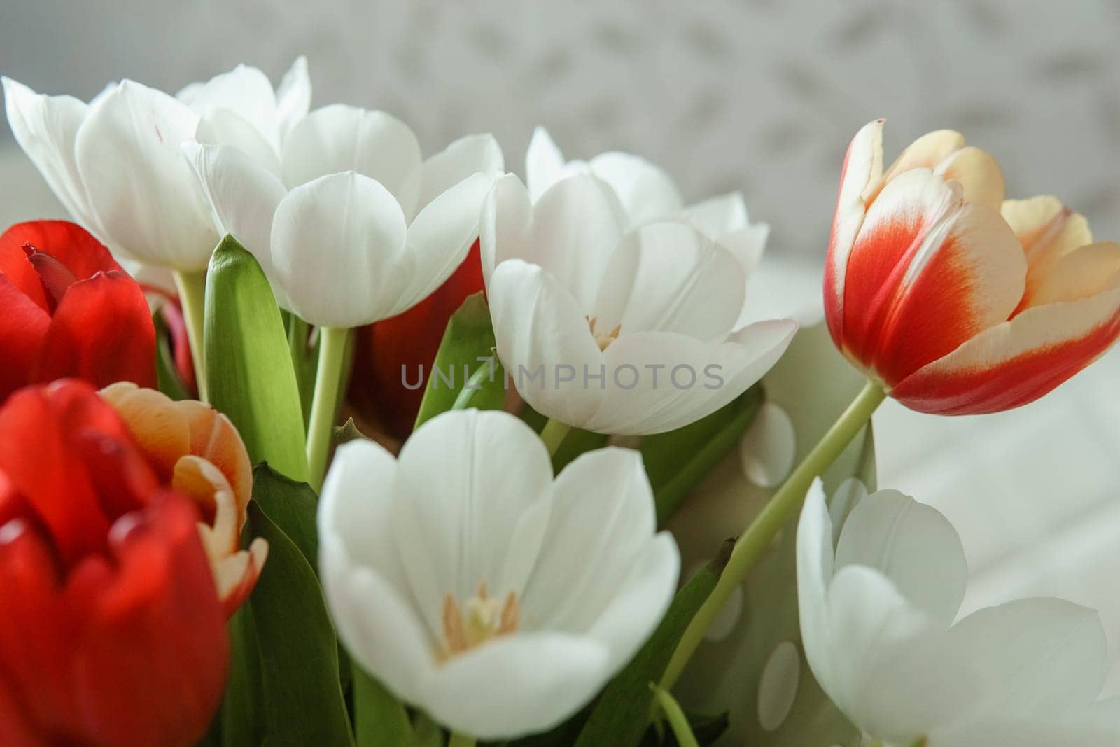 Spring Inspiration: Tulip Bouquet in Honor of International Women's Day by Annu1tochka