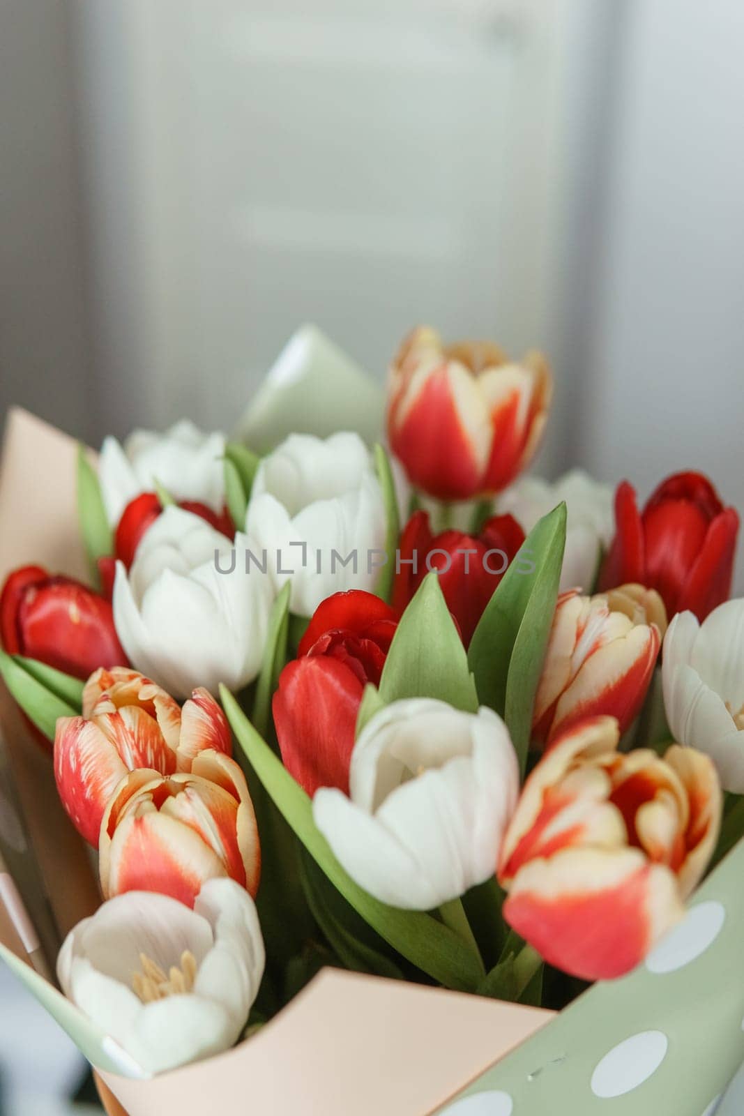 Celebration of Beauty: Tulips in Close-up as a Gift for March 8th by Annu1tochka