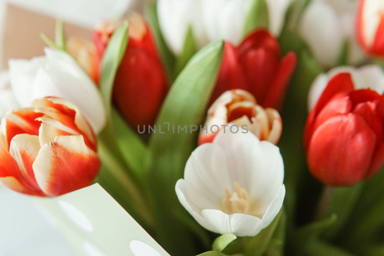 Floral Magic: Close-up of Tulip Bouquet for the Spring Holiday