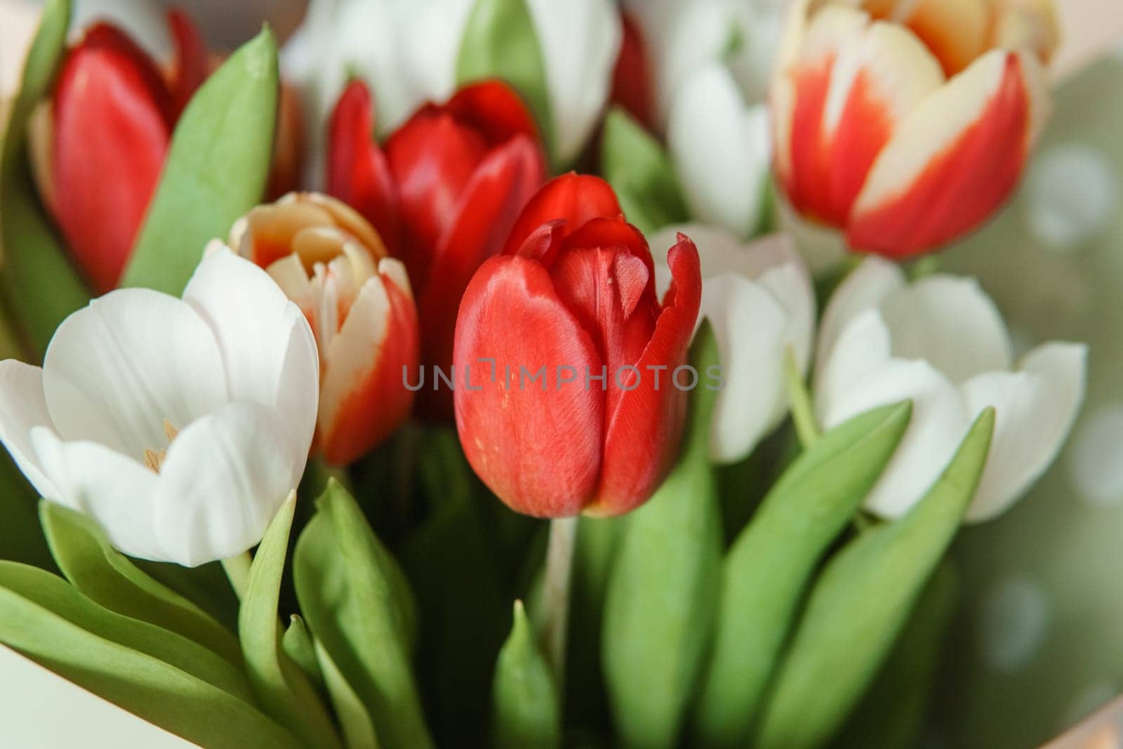 Spring Inspiration: Tulip Bouquet in Honor of International Women's Day by Annu1tochka