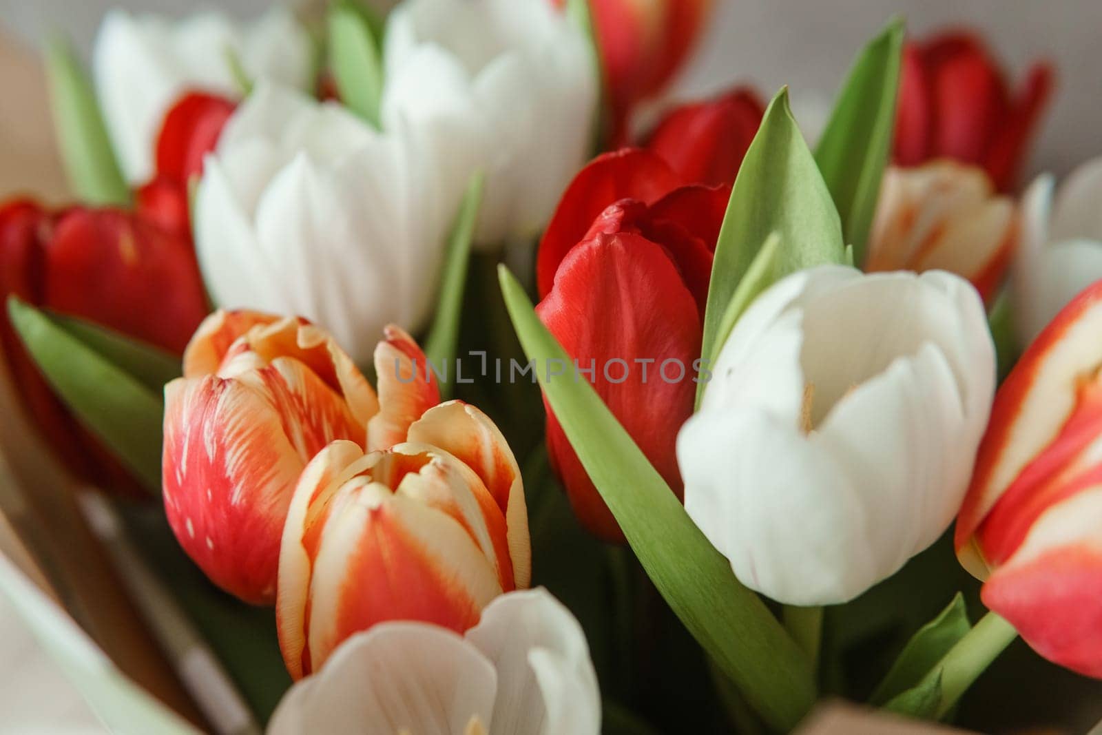 Spring Gift: Bright Tulip Bouquet for a Special March 8th Celebration