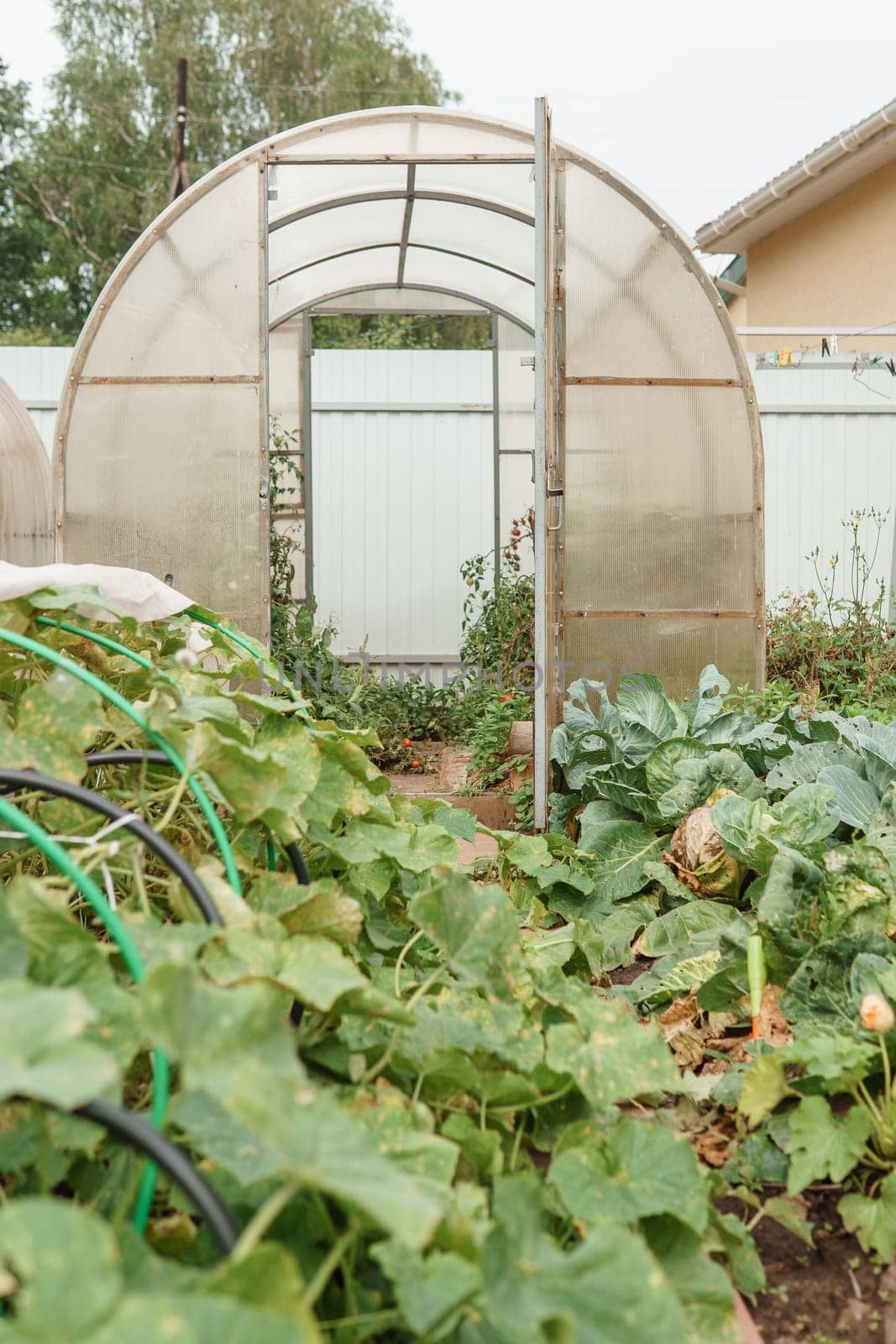 Large greenhouses for growing homemade vegetables. The concept of gardening and life in the country