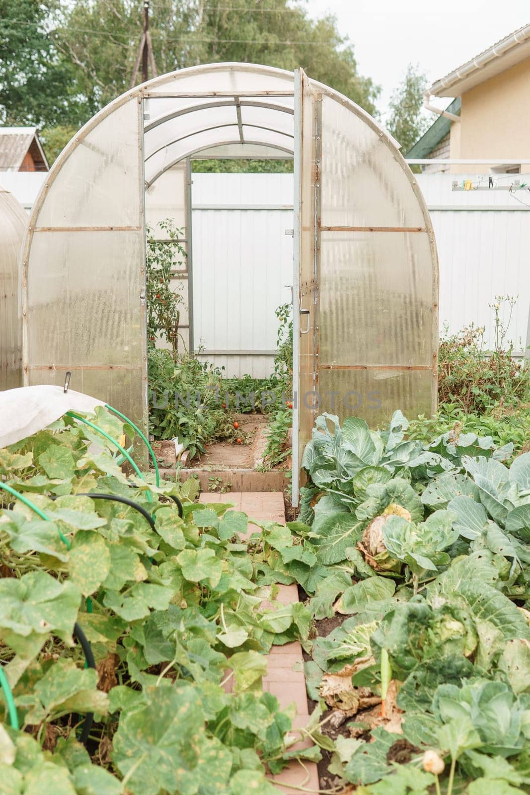 Large greenhouses for growing homemade vegetables. The concept of gardening and life in the country. by Annu1tochka