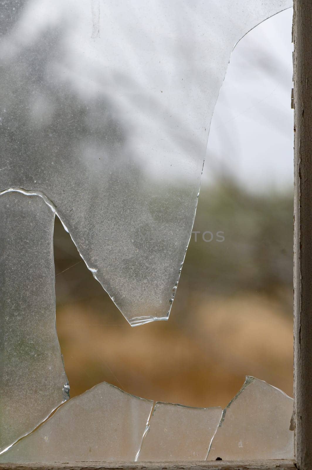Glass broken by hooligans in a metal-plastic window, close-up. 1 by Mixa74